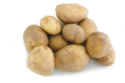 frieslander