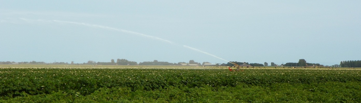 aardappelveld-03